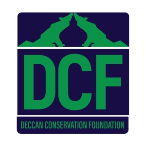 Untitled-2_0004_DCF-wolf-logo