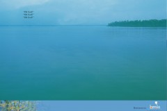 Kerala Ads