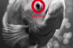 Ogilvy Ads